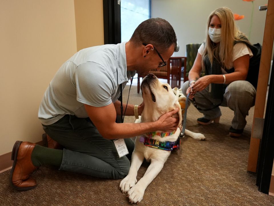 US-NEWS-WOULDBE-SHOW-DOG-FINDS-HIS-9-PO.jpg